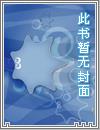 一品枭雄