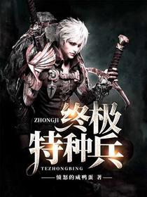 终极特种兵