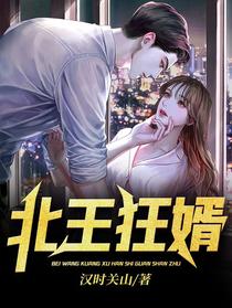 北王狂婿