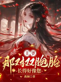 王爷，那对双胞胎长得好像您